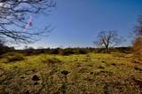 1751 Rosharon Road - Photo 26