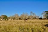 1751 Rosharon Road - Photo 5