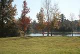 37 Robin Hood - Photo 1