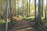 37 Robin Hood - Photo 12