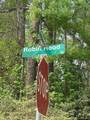 0 Robin Hood Lane - Photo 1