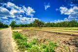 Lot 7 Wonder Hill Road - Photo 13
