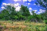 Lot 7 Wonder Hill Road - Photo 5