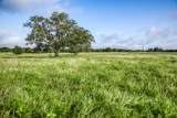 Tract 2 Nassau Road - Photo 4