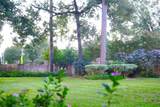 14206 Spring Pines Drive - Photo 41