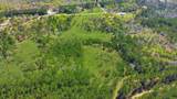 401 Big Buck Drive - Photo 15