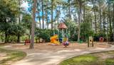 9731 Blue Cruls Way - Photo 49