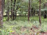 5265 Pecan Tree Lane - Photo 11