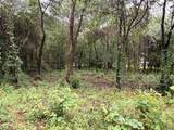 5265 Pecan Tree Lane - Photo 12