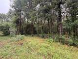 5265 Pecan Tree Lane - Photo 3