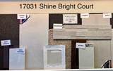 17031 Shine Bright Court - Photo 2