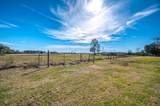 10151 Pless Road - Photo 1