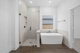 11242 White Crownbeard Drive - Photo 24