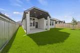 11242 White Crownbeard Drive - Photo 29