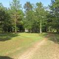 795 County Road 4497 - Photo 25