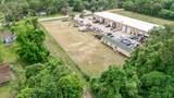 4628 Allum Road - Photo 6
