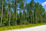TBD Carter Ranch Road - Photo 4