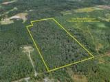 00 County Road 331,Gulf Road - Photo 8