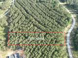 15750 Wooded Trail Way - Photo 1