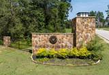 15750 Wooded Trail Way - Photo 5
