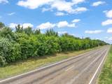 Lot 19 & 20 Fm 47 - Photo 11