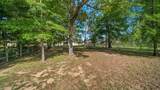 9239 White Tail Drive - Photo 6