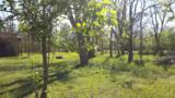 8826 Humble Westfield Road - Photo 1
