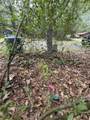 28624 Shawnee Ct - Photo 9
