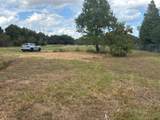 30611 Coco Street - Photo 3