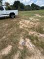 30611 Coco Street - Photo 5