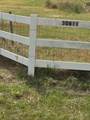 30611 Coco Street - Photo 6
