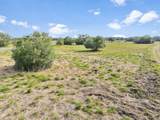 Tract 6 Fm 530 - Photo 6