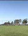 64 Westwood Drive - Photo 3