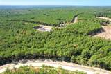 15409 Forest Grove Drive - Photo 14