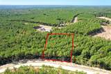 15409 Forest Grove Drive - Photo 22