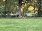 24488 Country Club Drive - Photo 3