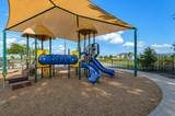 11507 Lago Verde Drive - Photo 45