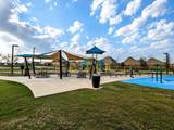 11507 Lago Verde Drive - Photo 46