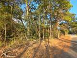 0 Hollyhill Drive - Photo 7