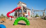 3102 Tulip Terrace Trail - Photo 31