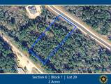 11622 Grand North Road - Photo 1