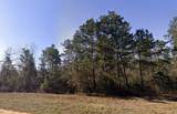 11622 Grand North Road - Photo 3