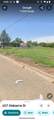 607 Alabama Street - Photo 8