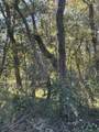 00 Oak Forest Drive - Photo 10