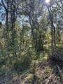 00 Oak Forest Drive - Photo 4