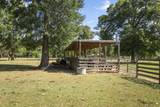 20585 Sh 146 - Photo 31