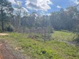 TBD Elendor Drive - Photo 3
