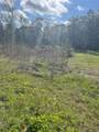 TBD Elendor Drive - Photo 4