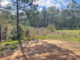 TBD Elendor Drive - Photo 5