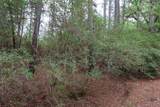 TBD Red Fox Road - Photo 9